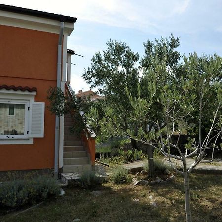 Apartman Branka Корнич Экстерьер фото